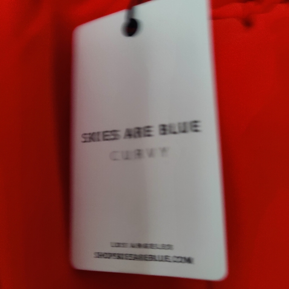 Skies Are Blue Curvy Women’s Neon Orange Shorts Sz 2X  Stretch NWT - Picture 4 of 6